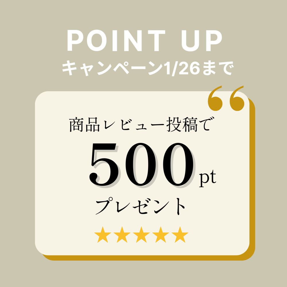 レビューでポイントアップ